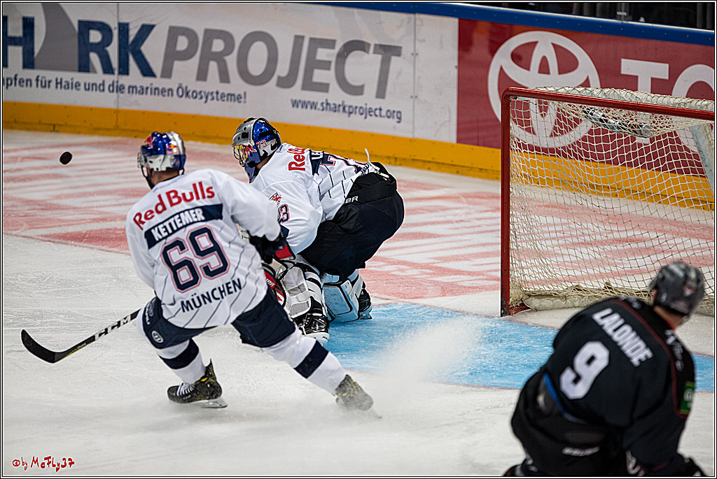 Koelner Haie - EHC Red Bull Muenchen , 16.09.16(KW37)